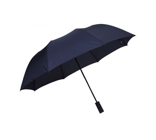 랜드스케이프 2단 폰지무지 우산 (자동)